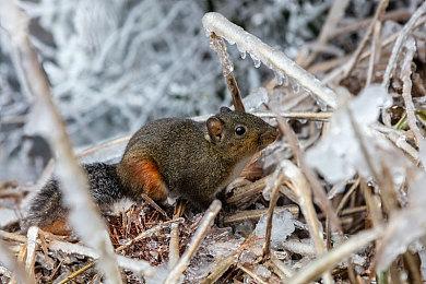 国产叙事游戏《我是两个人》上线Steam页面 夏季发售